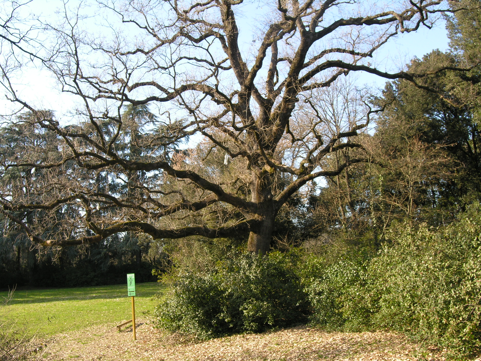 Parco Tozzoni 1 - Imola BO